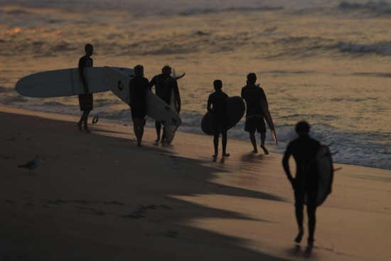 Surfing 